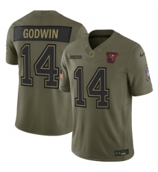 Men's Tampa Bay Buccaneers #14 Chris Godwin Jr. Olive 2025 Salute to Service Limited Football Stitched Jersey