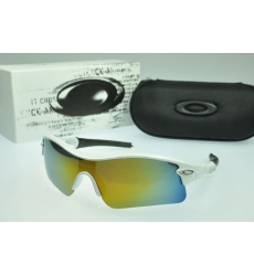 Oakley Glasses-0721