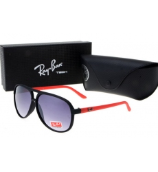 Ray-ban Glasses-1375